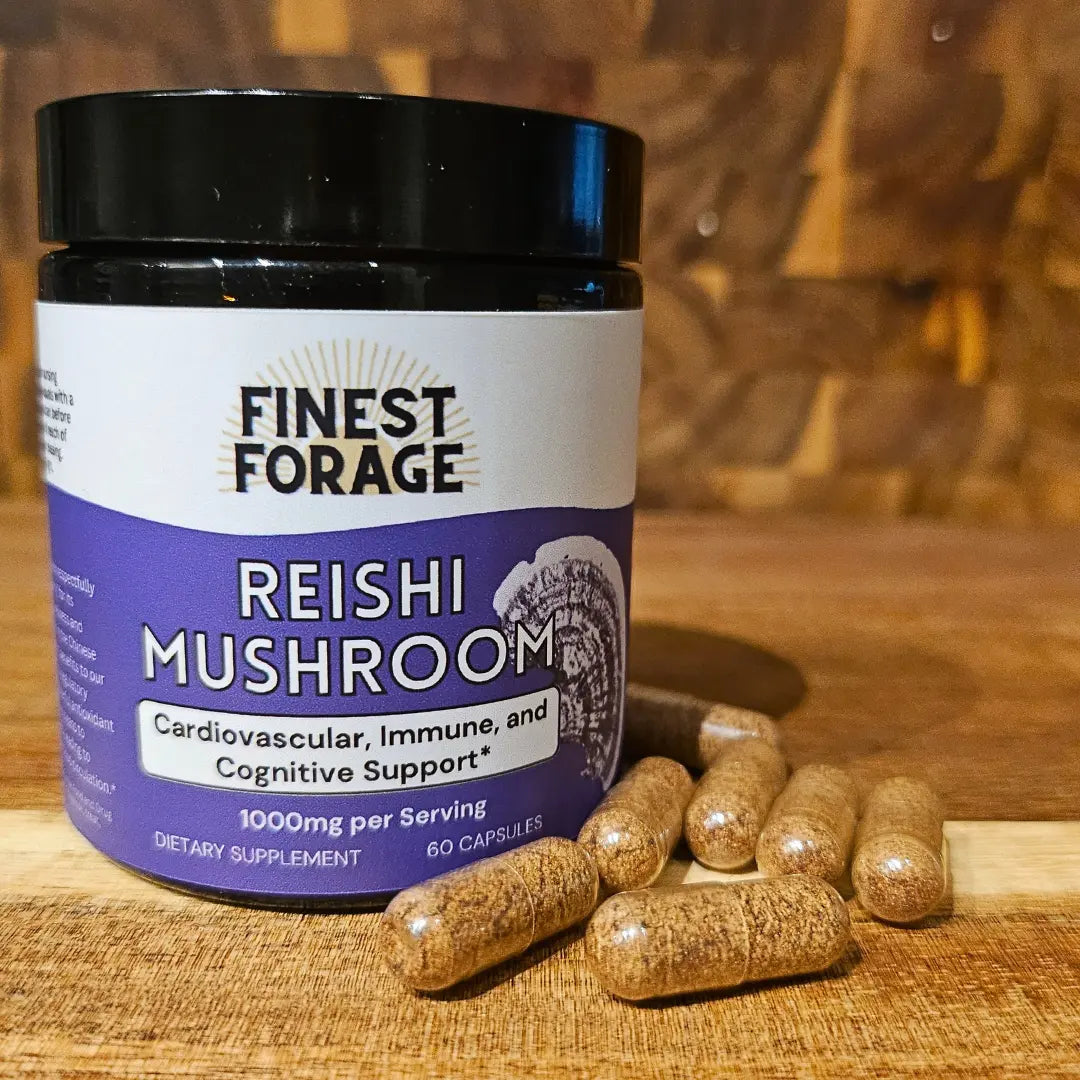 Foraging Capsule Reishi Powdered Extract Capsules – Finest Forage