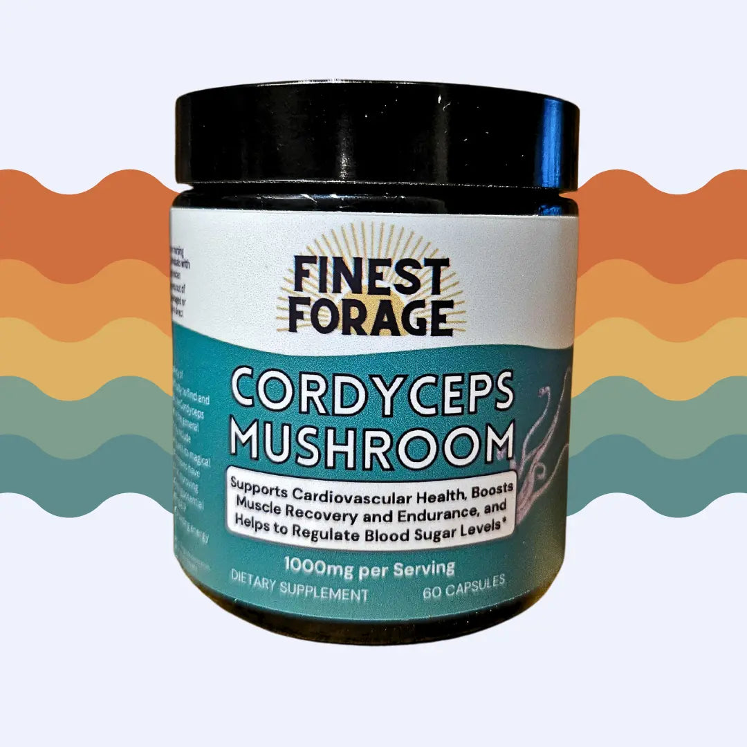 Foraging Capsule Cordyceps Powdered Extract Capsules – Finest Forage